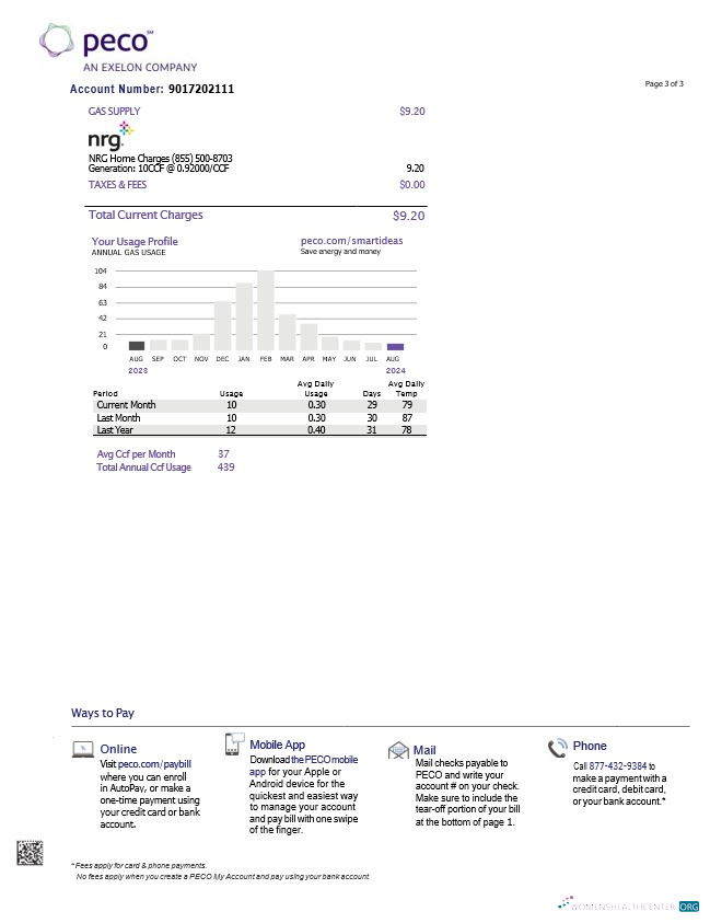 download download USA Pennsylvania PECO electric and gas utility bill, 3 pages 2